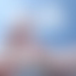 February 2026 Newsletter