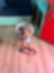 IMG_7011.JPEG