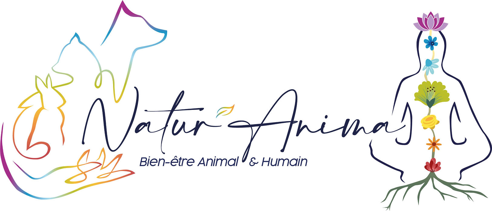 chakras, fleurs, animaux, bien-être