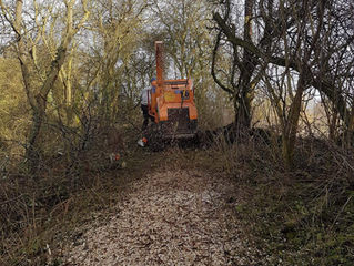 Moat clearance at Manor Farm in Eltisley, Cambridgeshire.