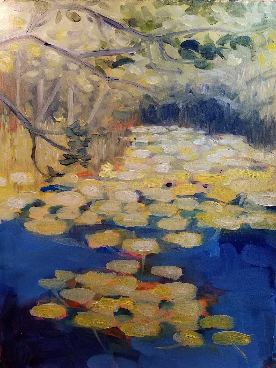 Swamp Lilies