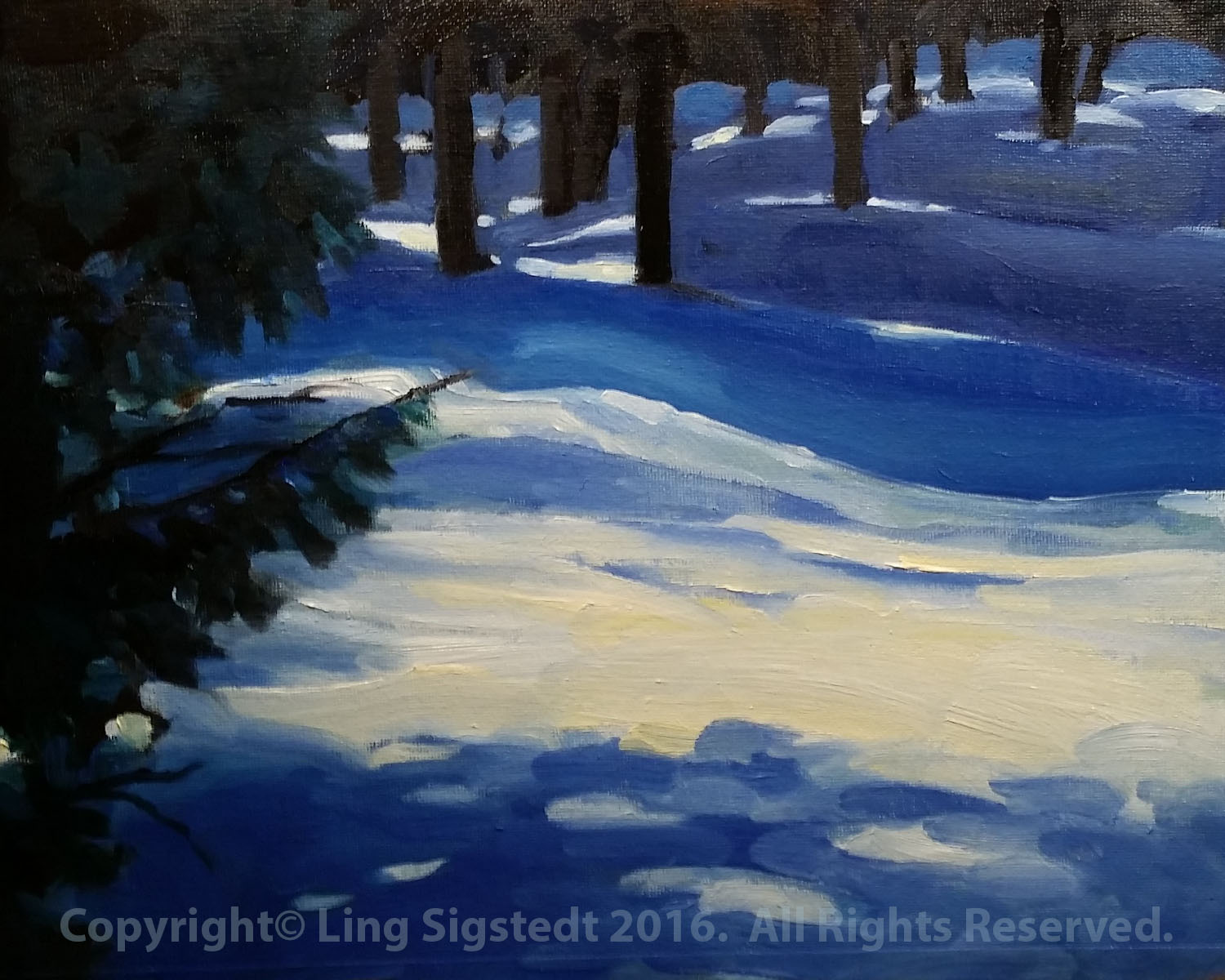 Mountain Snow