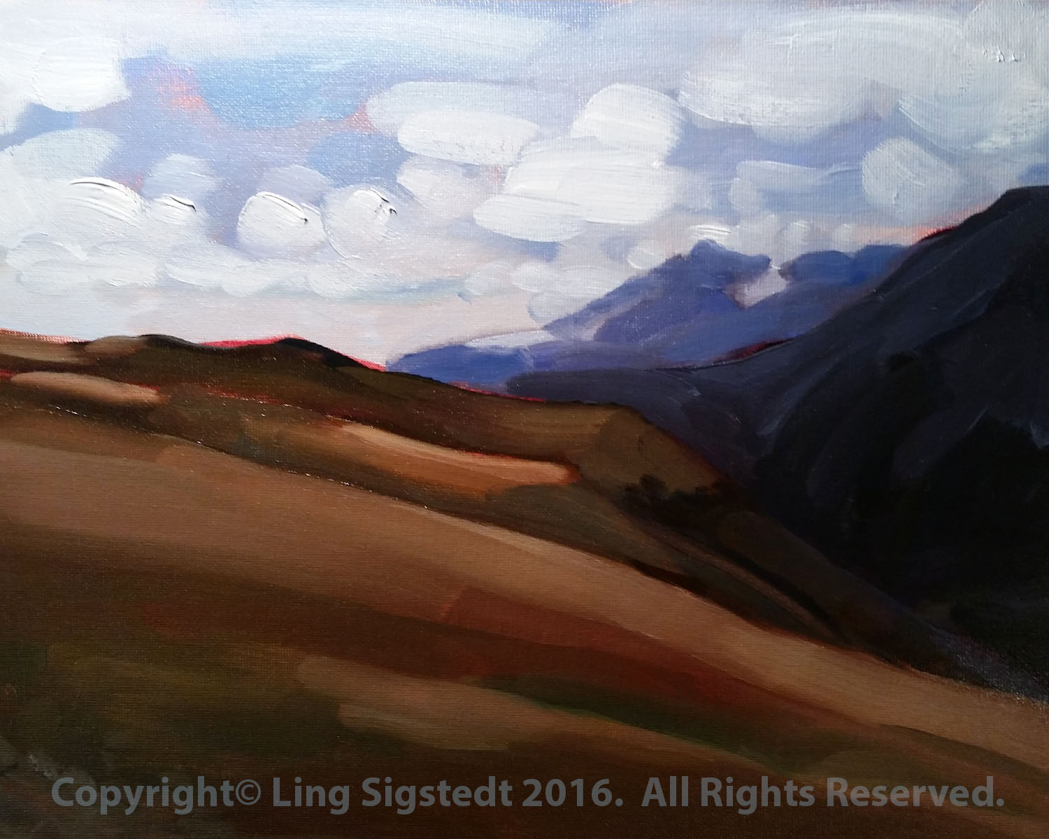 Trail Ridge Road