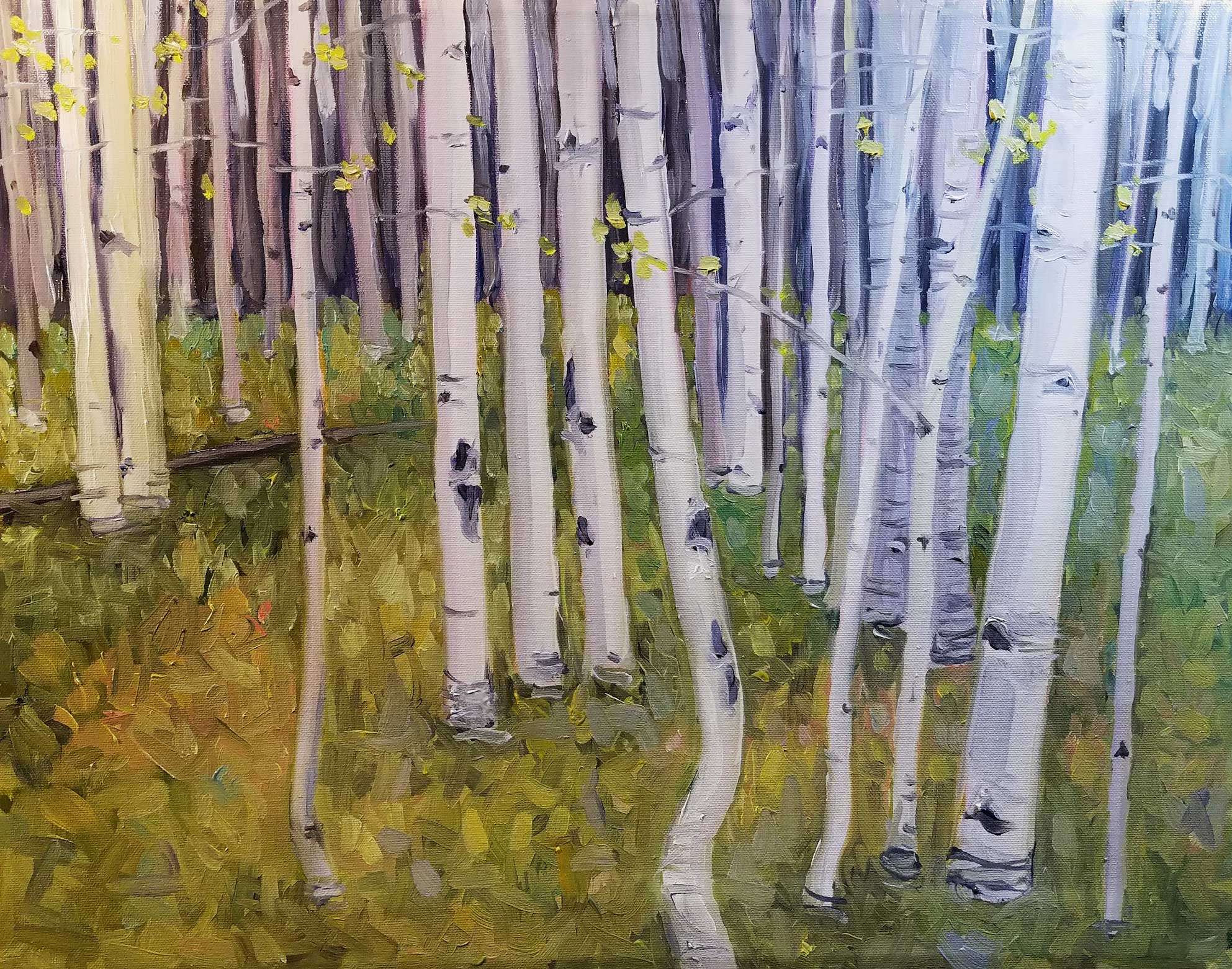Aspen Trees