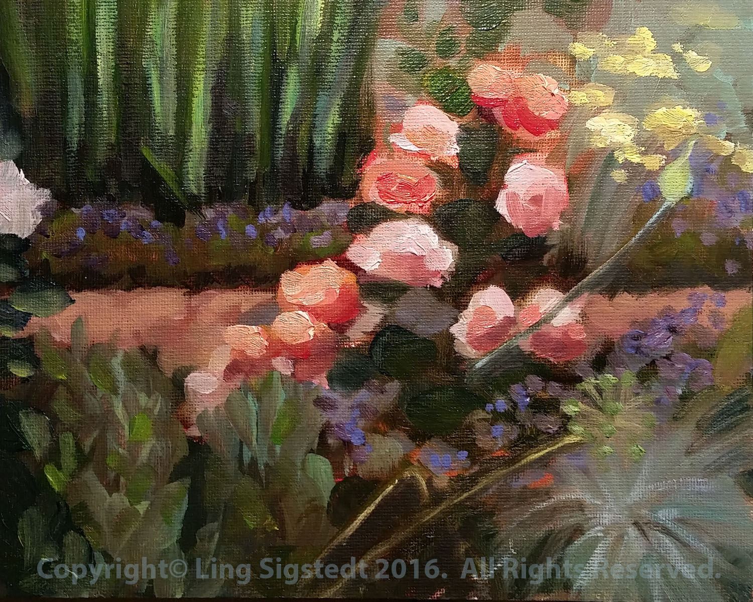 Denver Botanic Gardens