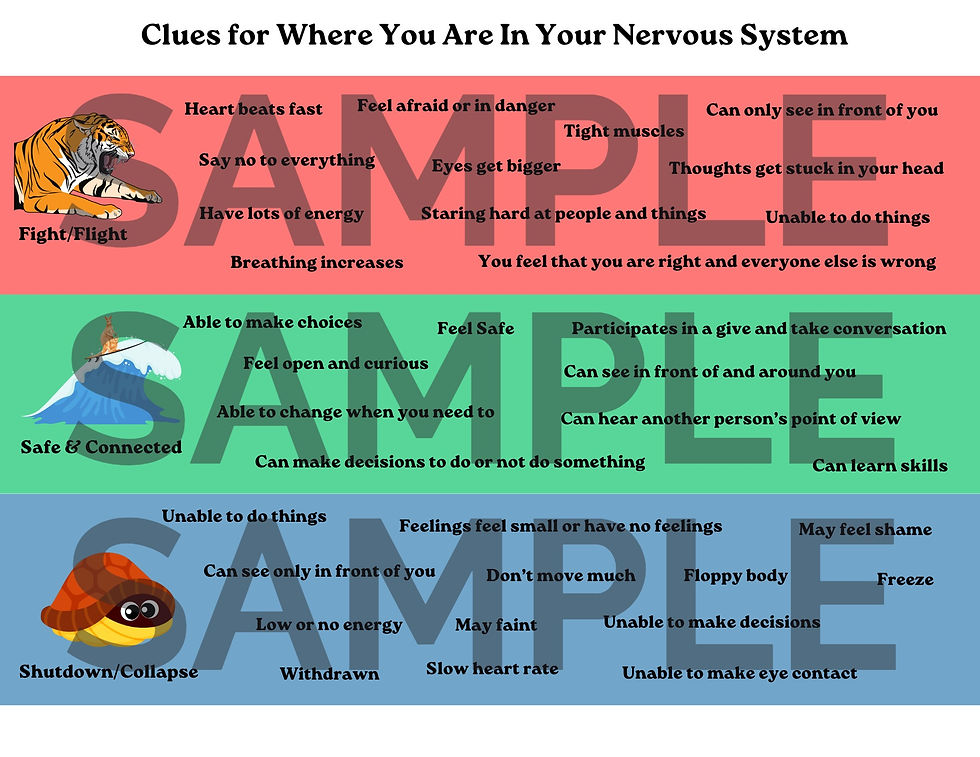 Thumbnail: Laminated Nervous System Clues Prints