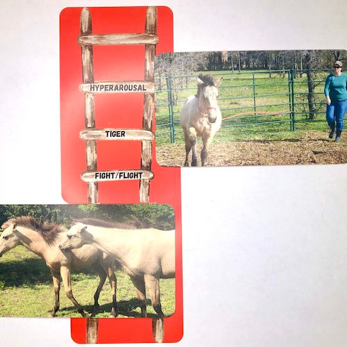 Thumbnail: Life on the Ladder Cards