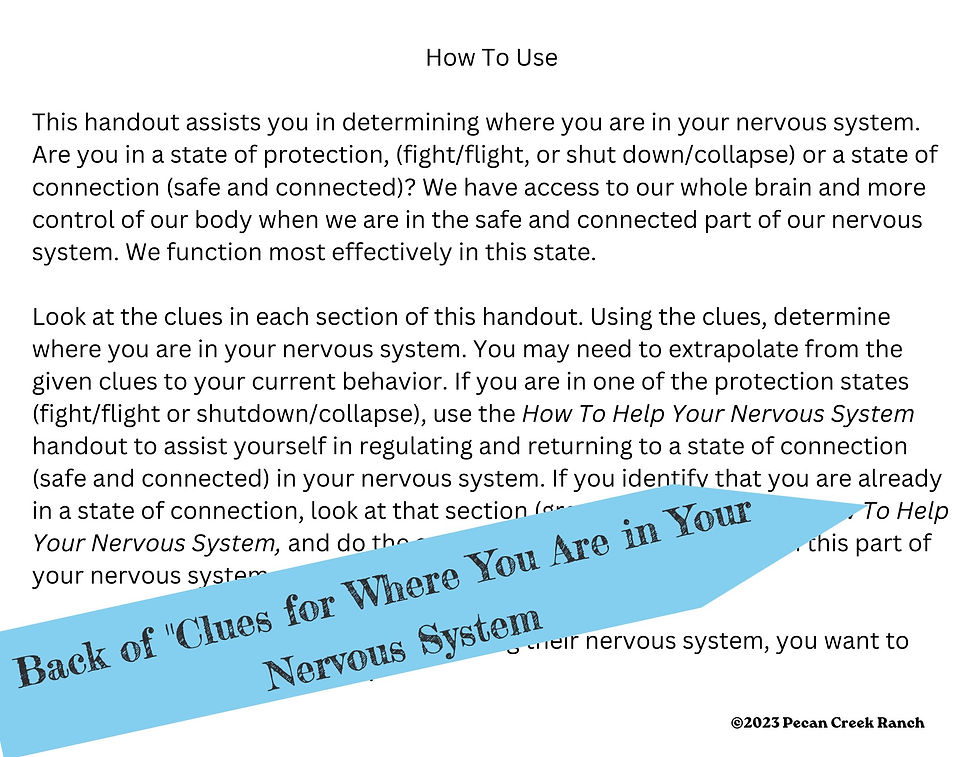 Thumbnail: Laminated Nervous System Clues Prints