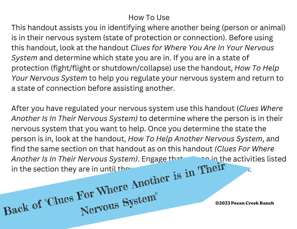 Thumbnail: Laminated Nervous System Clues Prints