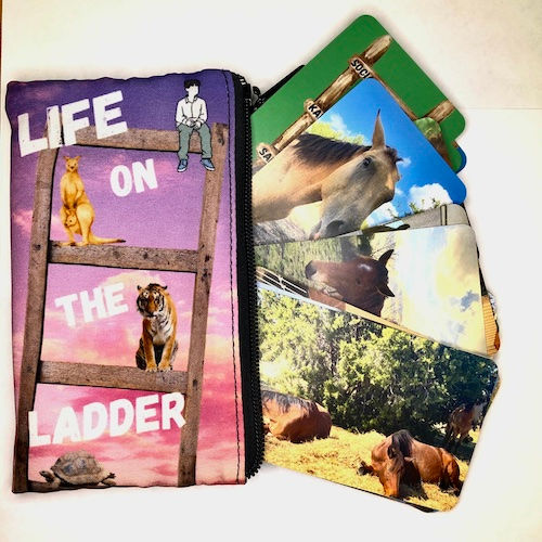 Thumbnail: Life on the Ladder Cards