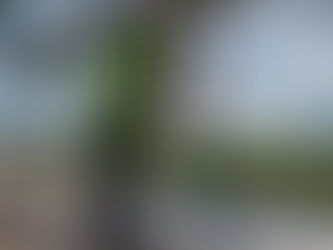 What Is Pressure Washing?