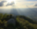 an image of nature that is beautiful and makes you feel empowered.jpg