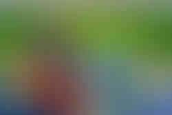 __PL_MG_4912-3