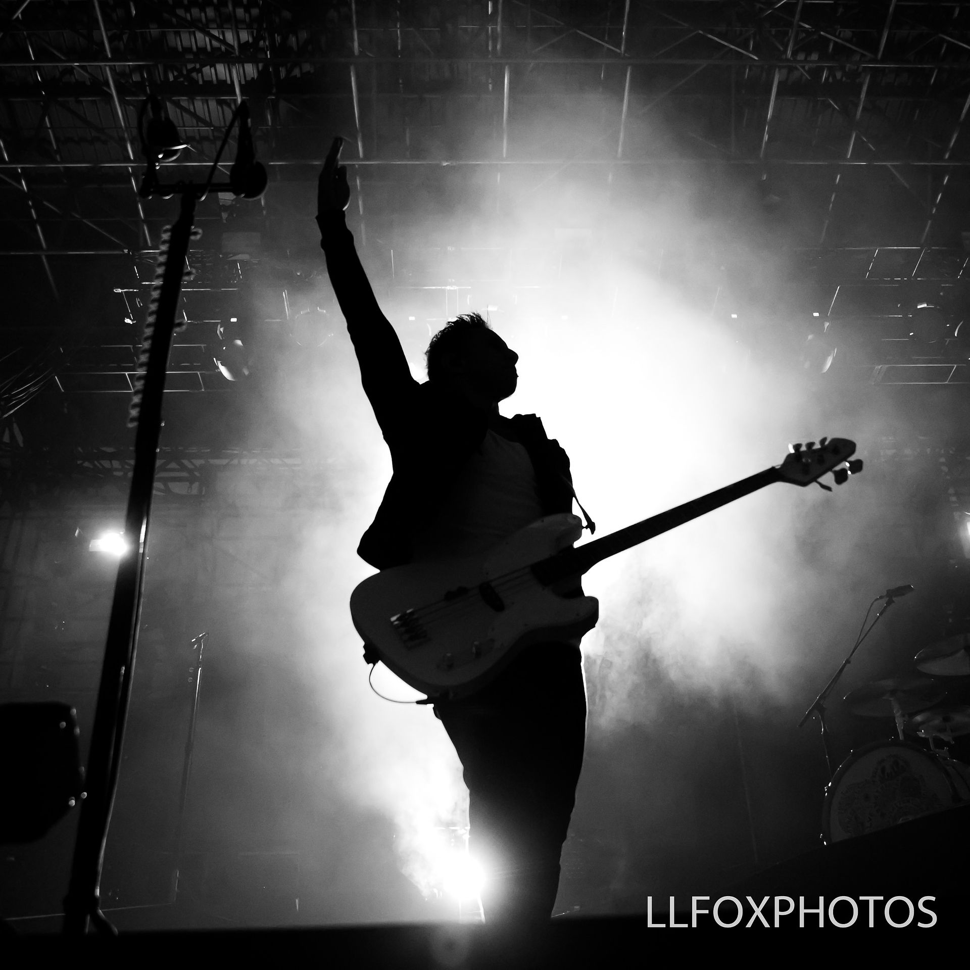 LLFOXPHOTOS-1488