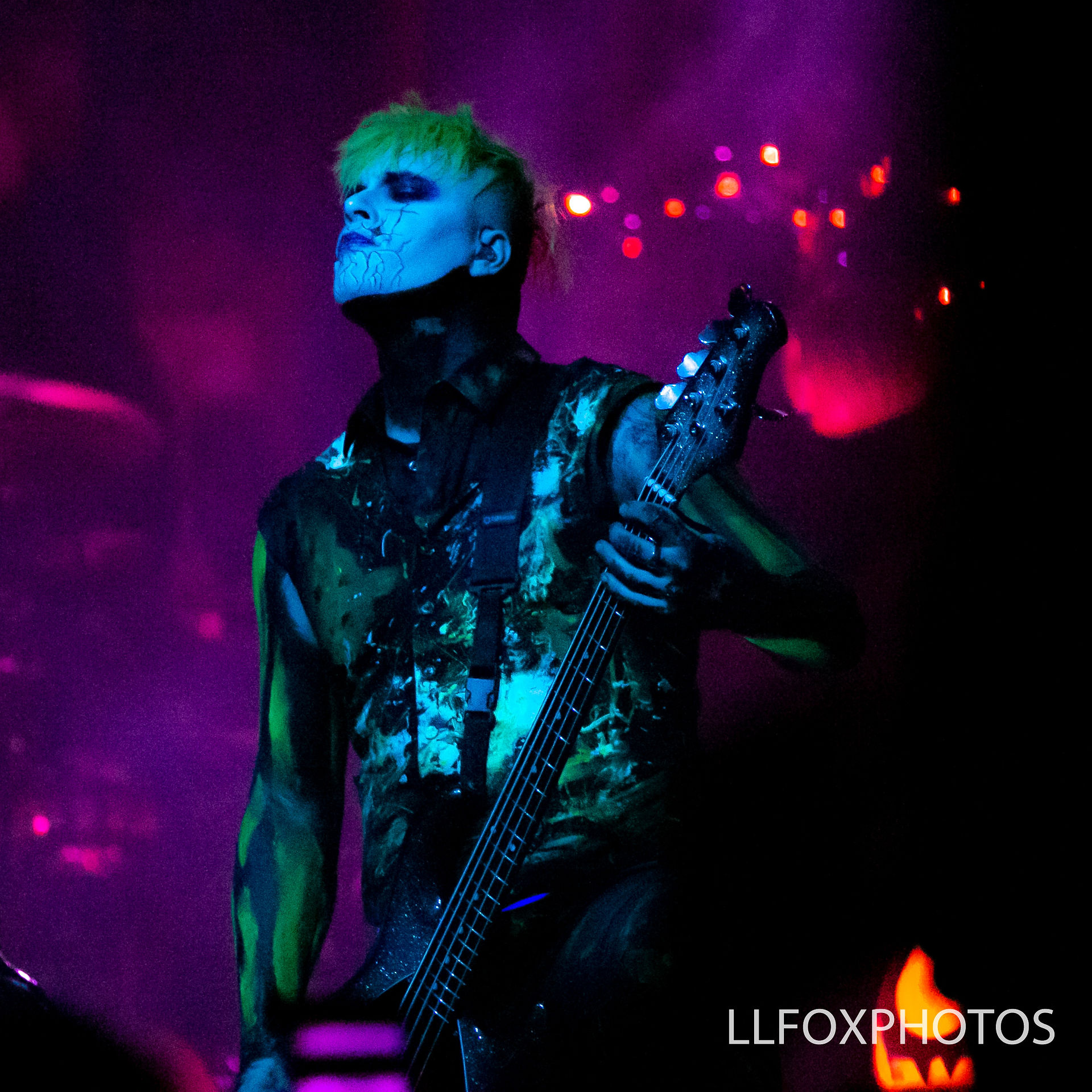 LLFOXPHOTOS-7517