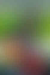 __PL_MG_4903-3