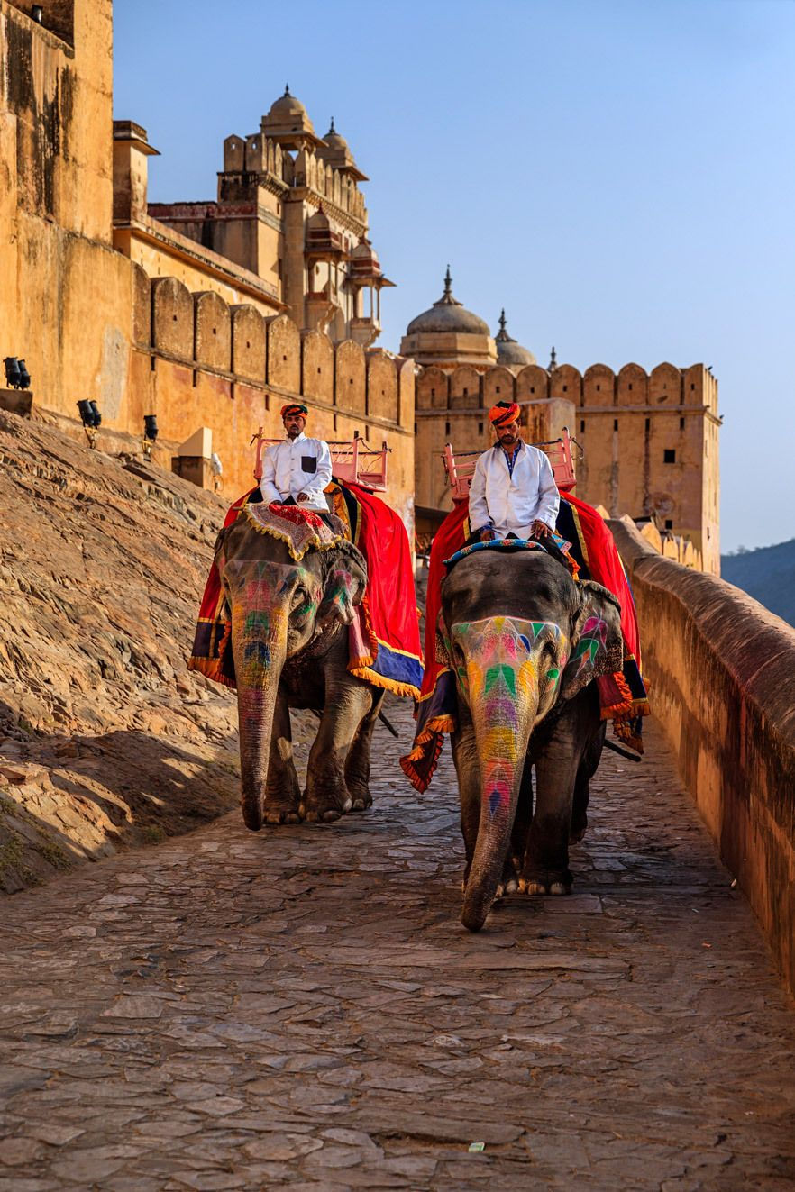 Elephant Ride Jaipur.jpg