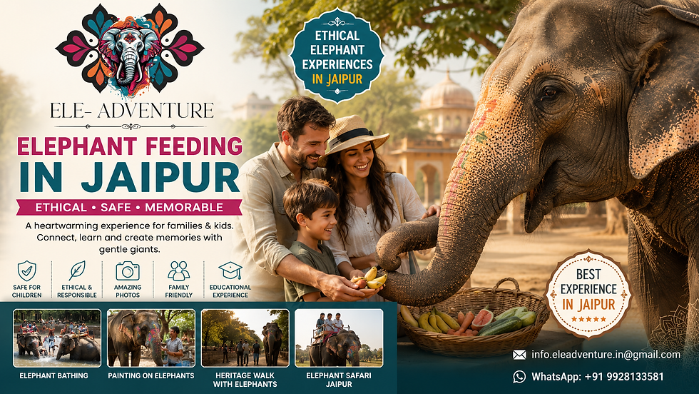 Why Families Prefer Ethical Elephant Experiences Over Traditional Rides?