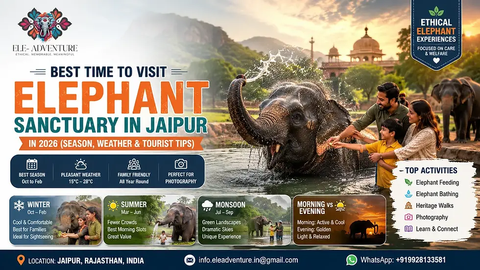 Family enjoying an ethical elephant sanctuary experience in Jaipur Rajasthan with elephant bathing, feeding and photography activities during the best season to visit in 2026