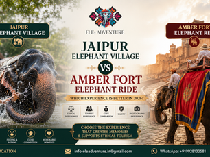 Jaipur Elephant Village vs Amber Fort Elephant Ride – Best Experience in 2026