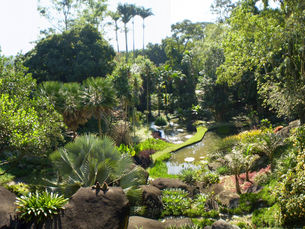 Burle Marx e a importância da valorização do meio ambiente