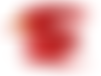 Do autodidata anarco-atabalhoado ao comunista brasileiro: Astrojildo Pereira.