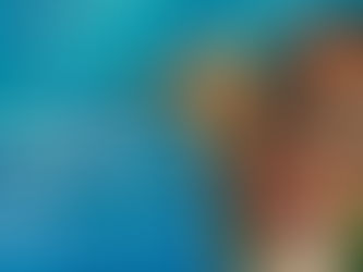 O UNIVERSO HISTÓRICO DE MOANA. História e (é) animação.