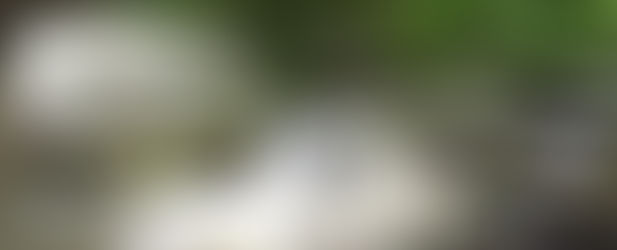 Inspiration Contest Winner: Susan Payne for Her "The Edge of Wild" Story