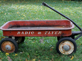 You Know a Rosie (I'm Willing to Bet!)