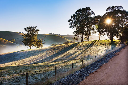 Sunlight-shining-through-trees-on-frosty-morning-at-The-Great-Southern-Rail-Trail-2048x136