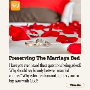 Preserving The Marriage Bed