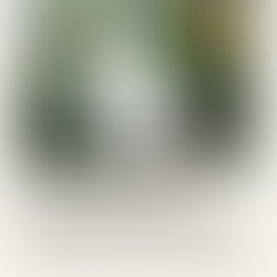 Purity In God’s House