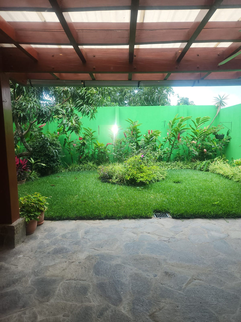 Miniatura: Casa de Bosques en Santa Teresa
