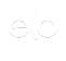 20 anos.png