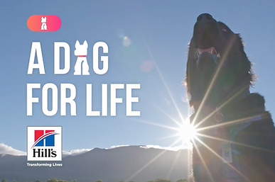 Screenshot 2025-01-29 at 11.41.04.png