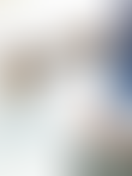 Maximizando Lucros e Minimizando Riscos: Estratégias de Gestão Financeira e Tributária para Empresas