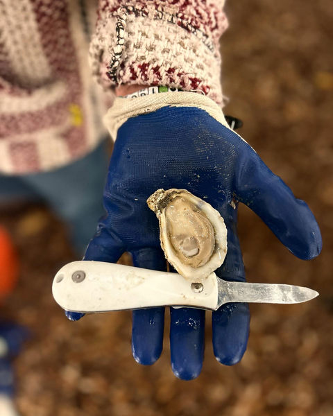 changing tide oyster in carteret county nc farm is in south river near beaufort nc office is in morehead city nc
