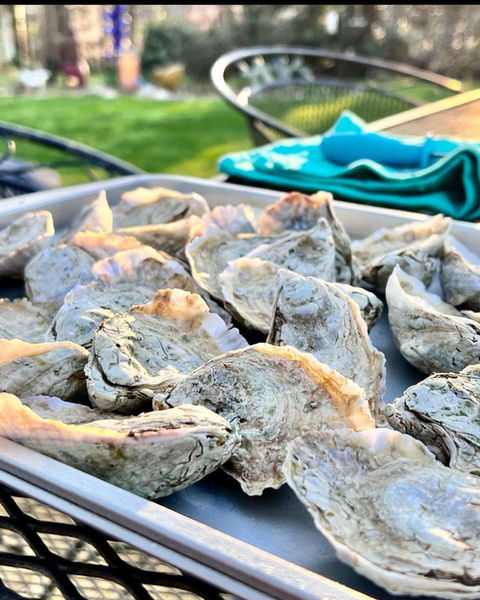 oysters carteret county nc north carolina shellfish seafood fresh local