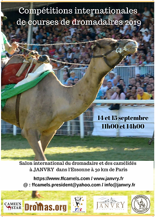 affiche officielle des competitions DE C
