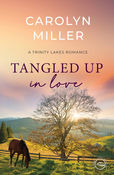 Christian Contemporary romance