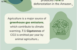 Infographic - Having a  Meatless Diet