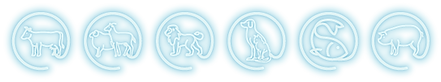 footer-a_2.png