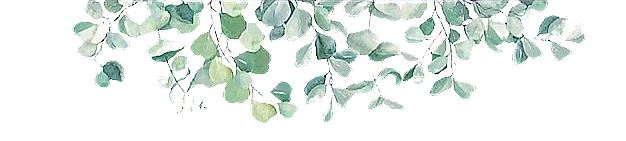watercolor-leaves-frame_158232-200_edited_edited_edited_edited.png