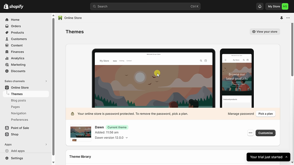 screenshot of shopify's store theme options