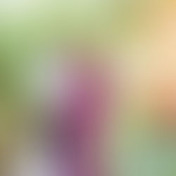                                                                                            ~A beautiful Golden Hour Rainbow Baby Maternity Session~  