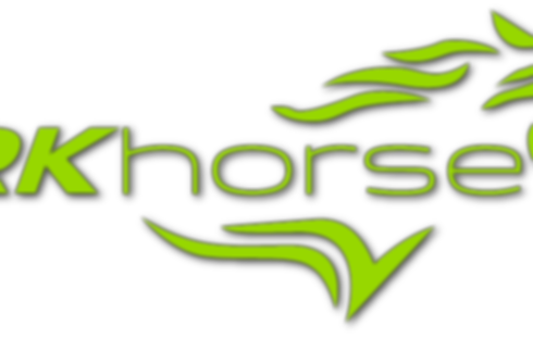 LIME GREEN LOGO - DIFFERENT SHADOW.png