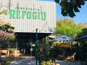 Lugares PetFriendly em Florianópolis para você e seu amigo