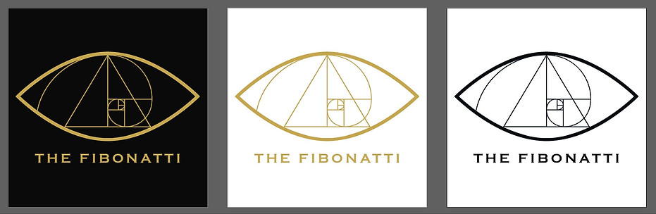 Fibonatti_primary logo_colour variations + typeface size.jpg