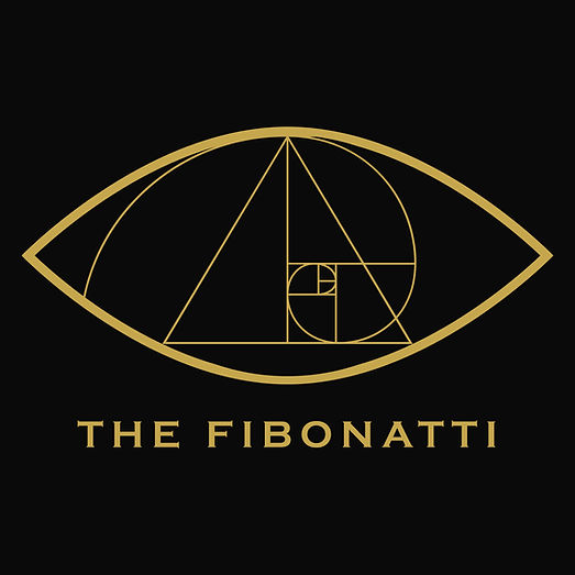 The Fibonatti_primary logo_ochre_black background-100.jpg