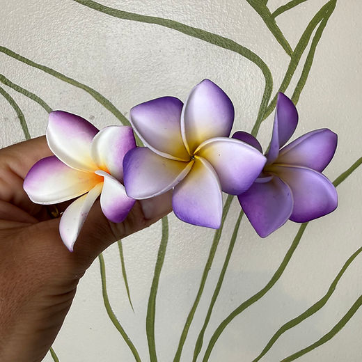 ナナニジ　 ～ Colors of Flowers ～　ブロマイド Shop | Nana's Clay Flowers